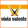 VİOLA VALENTE
